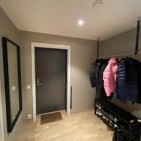 Splitter Ny, Romslig Sentralt Pa Nyhavna Leies Ut Apartment Trondheim