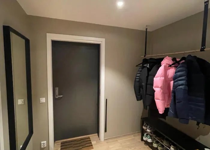 Splitter Ny, Romslig Sentralt Pa Nyhavna Leies Ut Apartment Trondheim